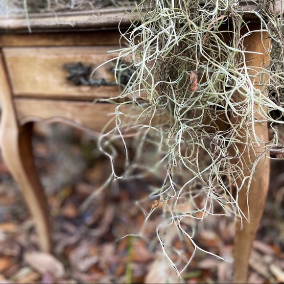 🕯✨🐈‍⬛ Traditional Witch Crafting Starter Kit real organic herbs & real c… - Picture 5 of 17